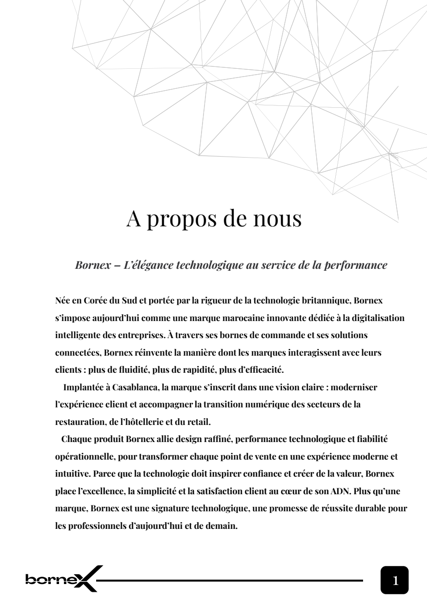 Bornex Smart Solutions - Catalogue