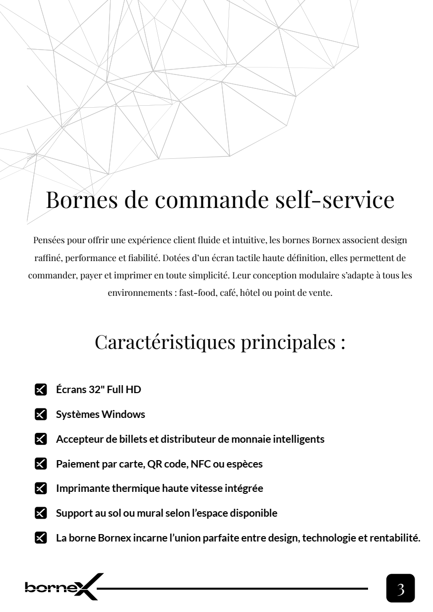 Bornex Smart Solutions - Catalogue